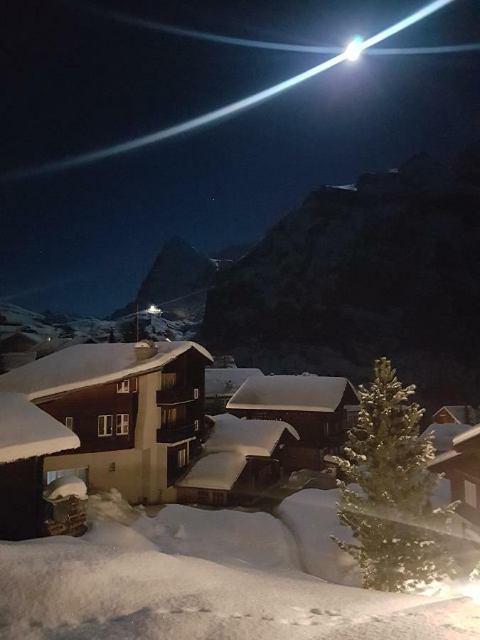 Ferienwohnung Chalet Anemone 2 Mürren Exterior foto
