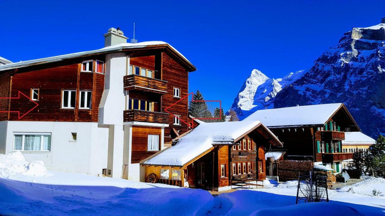 Ferienwohnung Chalet Anemone 2 Mürren Exterior foto